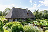 Thatched house in summery cottage garden
