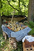 Checked tablecloths and bottles of wine arranged in vintage pull-along cart under tree