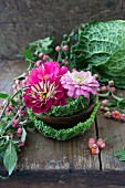 Savoy cabbage leaves and zinnias in wooden bowl next to spindle seed heads on wooden surface