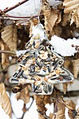 Christmas-tree pastry cutter filled with bird cake in garden