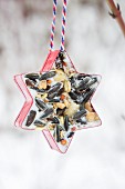 Star-shaped pastry cutter filled with bird cake and hung up in garden