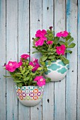 Pink petunias in planters mounted on board wall