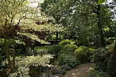Densely planted shrubs and trees lining path in summery garden