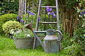 Old zinc watering can and planted zinc tub in garden