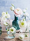 White eustomas and ranunculus in various vases