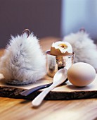 Frühstückseier mit Eierwärmern auf rustikalem Holzbrett