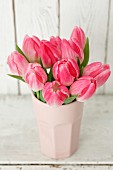 Pink tulips in pale pink vase