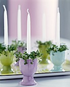White candles stood in pastel egg cups decorated with cress