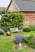 Dog lying on lawn in cottage garden adjoining old barn