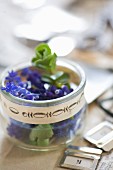 Grape hyacinths in glass jar with vintage-style border