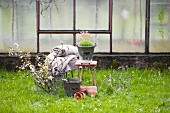 Branches of fruit blossom in wire basket, terracotta pots, rustic woollen blanket and flowering plant on stool on green spring lawn