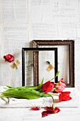 Red tulips in front of old picture frames against wall papered with book pages