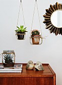 Succulents in hanging planters made from mason jars and parcel string