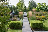 Clipped bamboo cubes, ornamental grasses and flowering perennial flanking wooden walkway leading through well-tended garden
