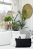 Houseplants on windowsill, brass plate on wall and comfortable scatter cushions on white couch in corner of living room
