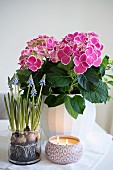 Spring arrangement of hydrangeas, grape hyacinths and candle