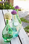 Alliums in three glass bottles on rustic wooden benches