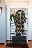 Trailing houseplant on white retro shelving, patterned dressing gown and vintage wooden trunk