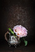 Double rose in silver milk jug