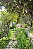 Bench and trees in Mediterranean garden