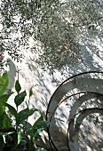 Three nested metal rings and plants against façade of Mediterranean house