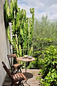 Einfacher Terrassenplatz an Hauswand mit zwei Klappstühlen vor üppigem Kaktus und Olivenbäumen