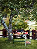 An autumnal buffet on a wooden table in a garden