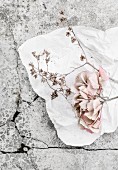 Pale hydrangea flowers on white kitchen roll on stone surface