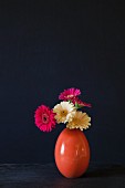 Gerbera daisies in orange vase against black background
