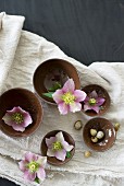 Pink hellebores in brown bowls and snail shells on linen cloth