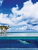 Woman diving in pool with glass wall beside the ocean under white clouds in blue sky