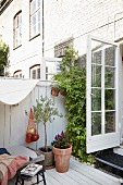 Foliage plants and wooden terrace with cosy, vintage ambiance
