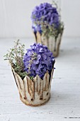 Blue hyacinths and thyme in rusty metal crowns