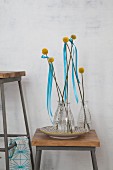 Craspedia and blue ribbons in glass vases on vintage stool