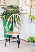 Wooden armchair and planted arrangements below vintage wall chart in summer house
