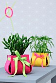 Plant pots with colourful felt covers as ornaments or as gifts