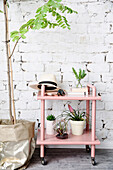 Pink trolley with plants in front of a brick wall