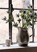 Blue eryngiums in pewter jug used as vase on sill of industrial window
