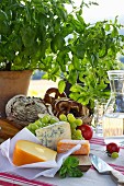 Carafe of water, bread basket, cheese and grapes on set table outdoors