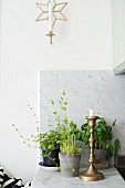 Candlestick and potted herbs on marble counter