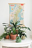 Potted house plants on white dining table in front of vintage map of Sweden