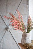 Pink-flowering branches in grey vase