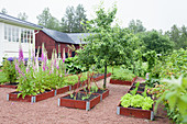 Raised beds with flowers and vegetables in a garden