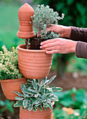Planting a herb tower