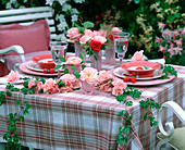 Pink 'Shirley Spray' (rose) and clematis garland