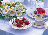 Leucanthemum (Marguerite, Alchemilla (lady's mantle), Fragaria