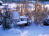 Garden in winter with snowy grasses, perennials, wooden chair