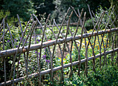 Garden fence for the farmers garden