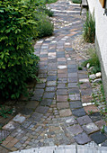 Garden path from Old 'Münchner Platten'