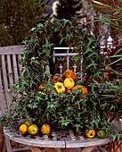 A basket with Hedera helix overgrown, decorated with pumpkins